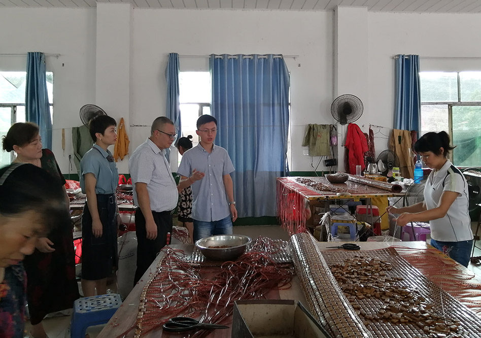 省人大代表桃江小组视察调研桃江竹产业(图3)