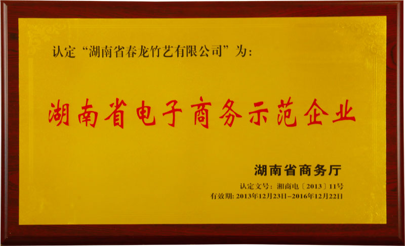 湖南省商务厅给春龙竹艺有限公司颁发的湖南省电子商务示范企业